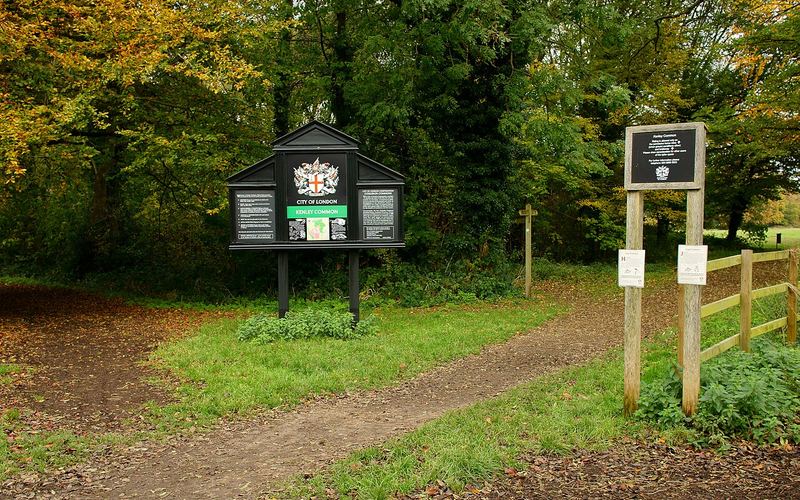 Kenley Common