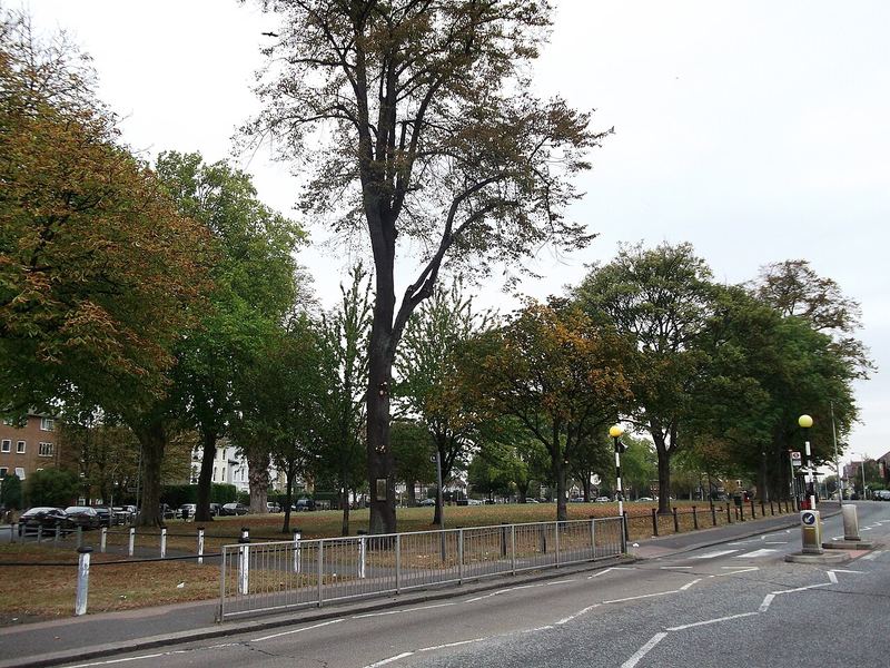 Woodside Green, Croydon